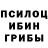 Псилоцибиновые грибы Psilocybe Grabitel08