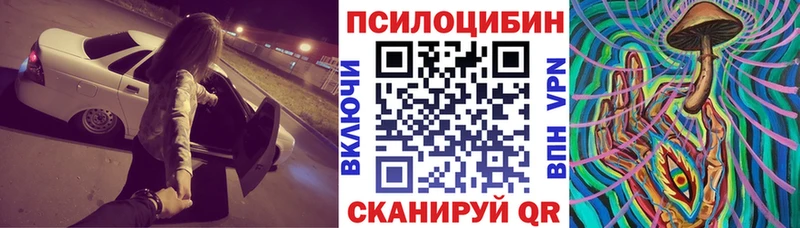 Псилоцибиновые грибы MAGIC MUSHROOMS  купить закладку  Мариинск 